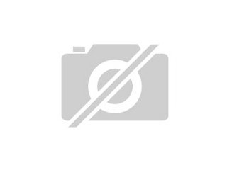 Flash - Animationen ab 15 Euro